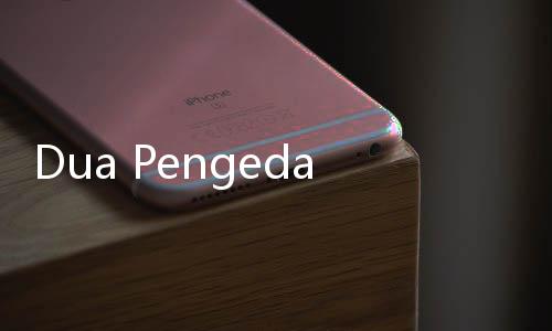 Dua Pengedar Ganja Kena Ciduk Polisi
