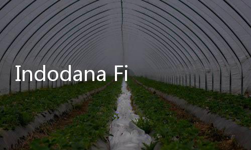 Indodana Finance Terima Pendanaan Rp1 Triliun dari BCA untuk Pengembangan PayLater