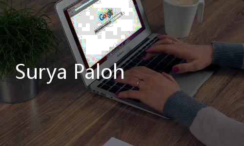 Surya Paloh Pastikan NasDem Siap Jika Diperiksa Terkait Aliran Dana